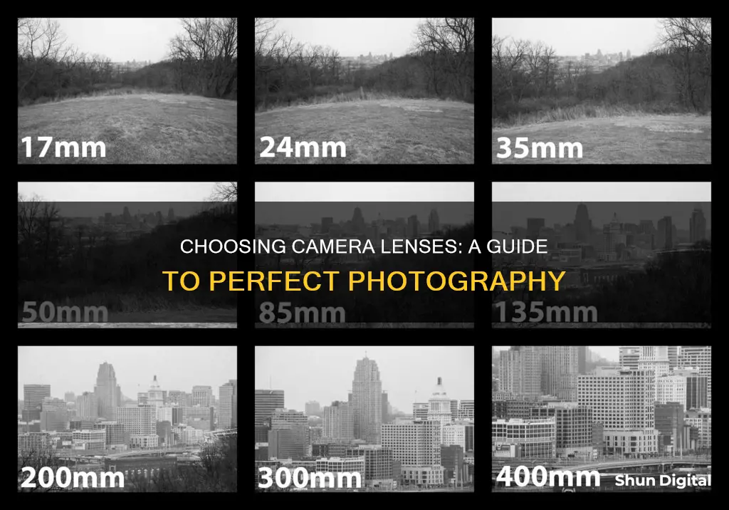 how to choose the right camera lenses