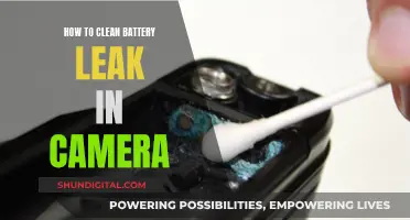 Cleaning a Leaky Camera Battery: Step-by-Step Guide