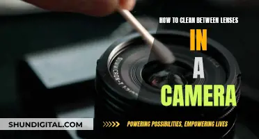 Cleaning Camera Lenses: Tips for Perfect Photos