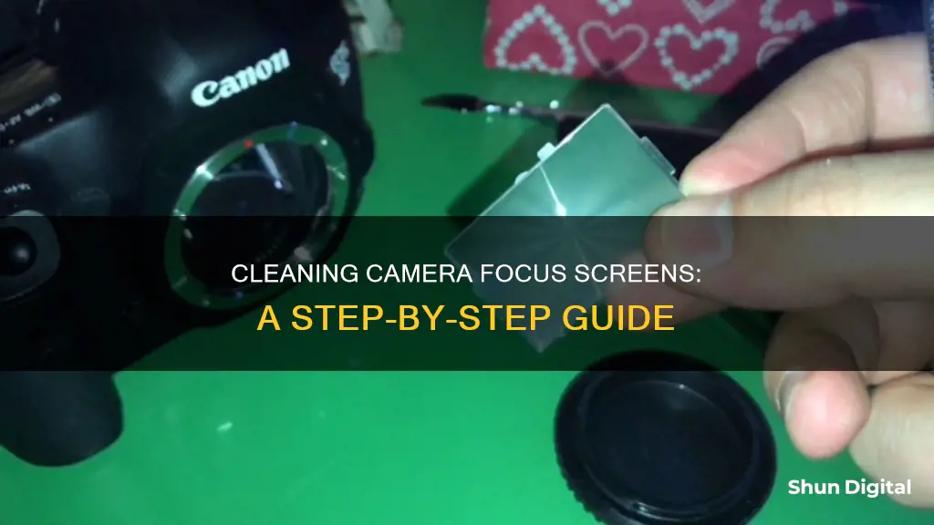 how to clean camera focus screen