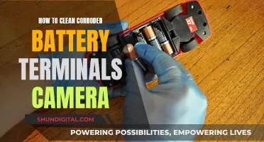 Cleaning Corroded Camera Battery Terminals: DIY Guide