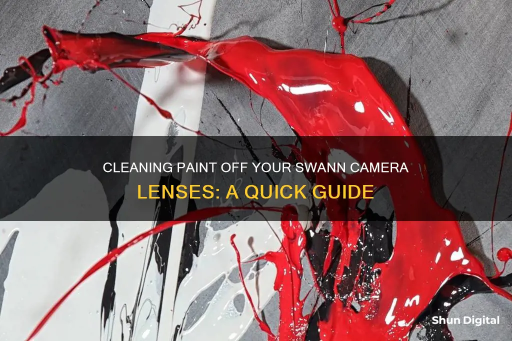 how to clean paint off swann camera lenses