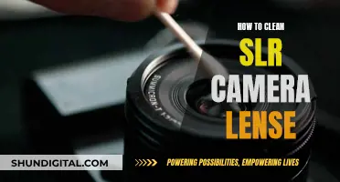 Cleaning Your SLR Camera Lens: A Step-by-Step Guide