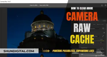 Clear Adobe Camera Raw Cache: A Step-by-Step Guide