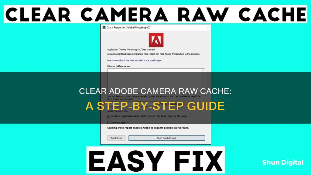 how to clear adobe camera raw cache