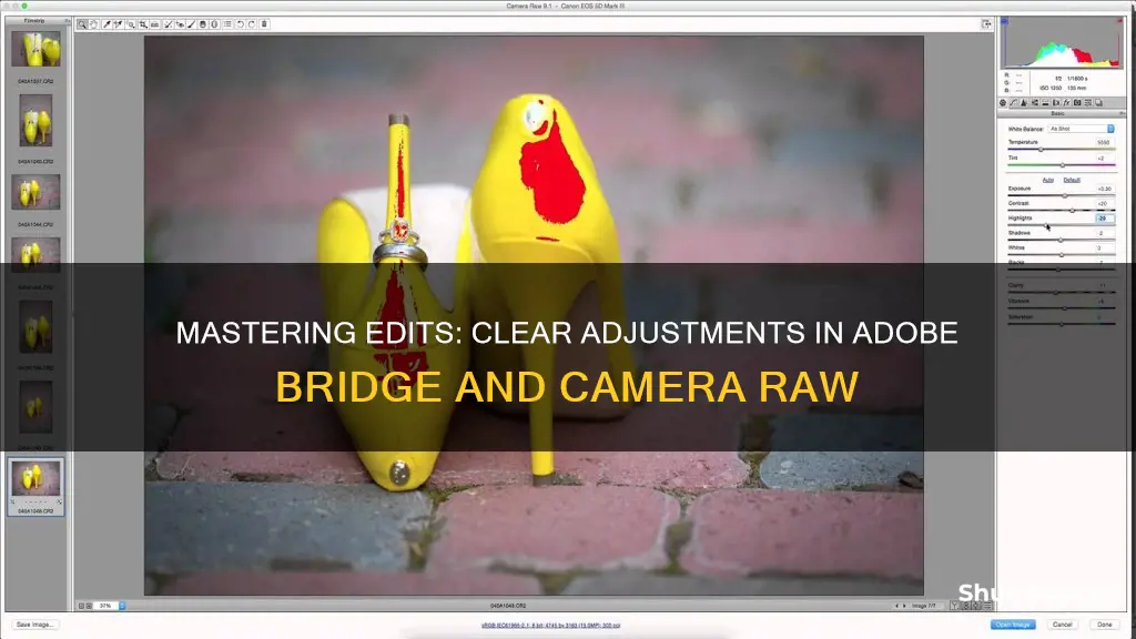 how to clear edits in adobe bridge or camera raw