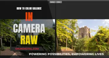 Mastering Camera Raw Color Balance for Perfect Photos