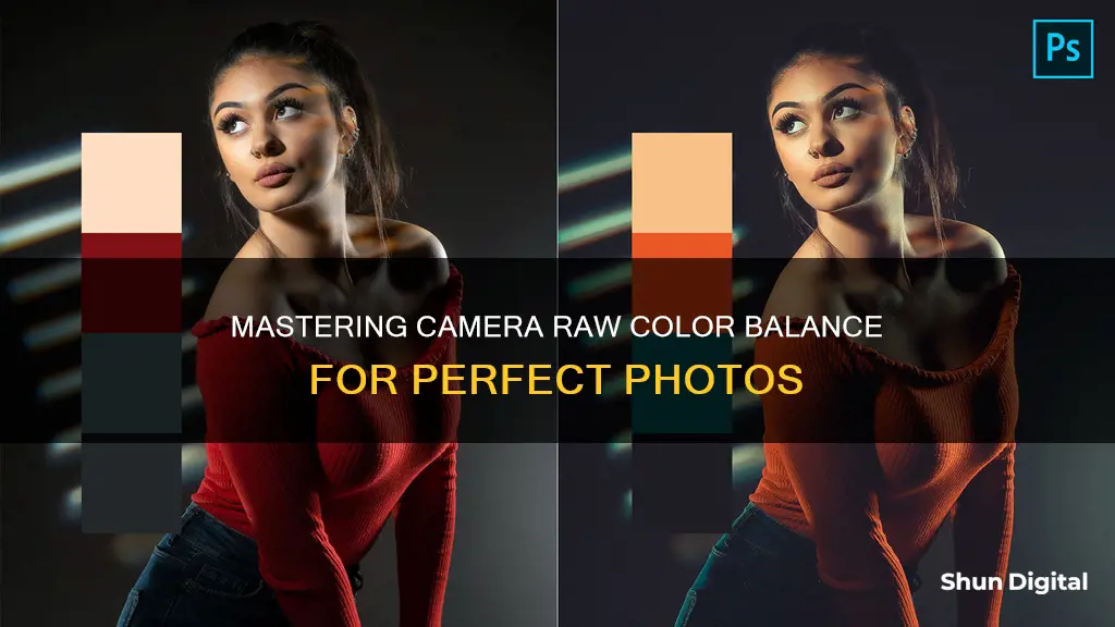 how to color balance in camera raw