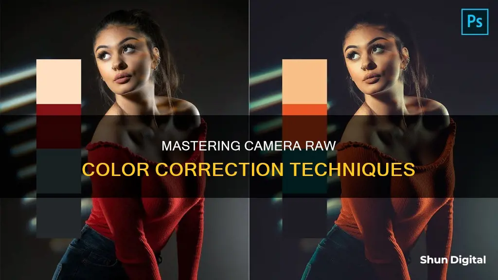 how to color correct in camera raw