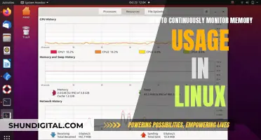 Monitoring Linux Memory Usage: A Comprehensive Guide