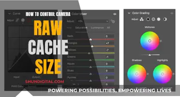 Mastering Camera Raw Cache: Tips to Control Size