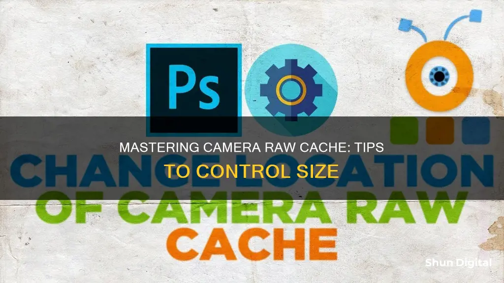 how to control camera raw cache size