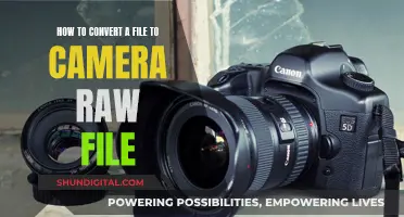 Converting to Camera Raw: A Step-by-Step Guide