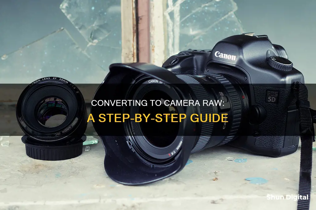 how to convert a file to camera raw file