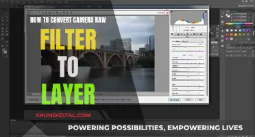 Unlocking the Power of Camera Raw: Filter to Layer Conversion