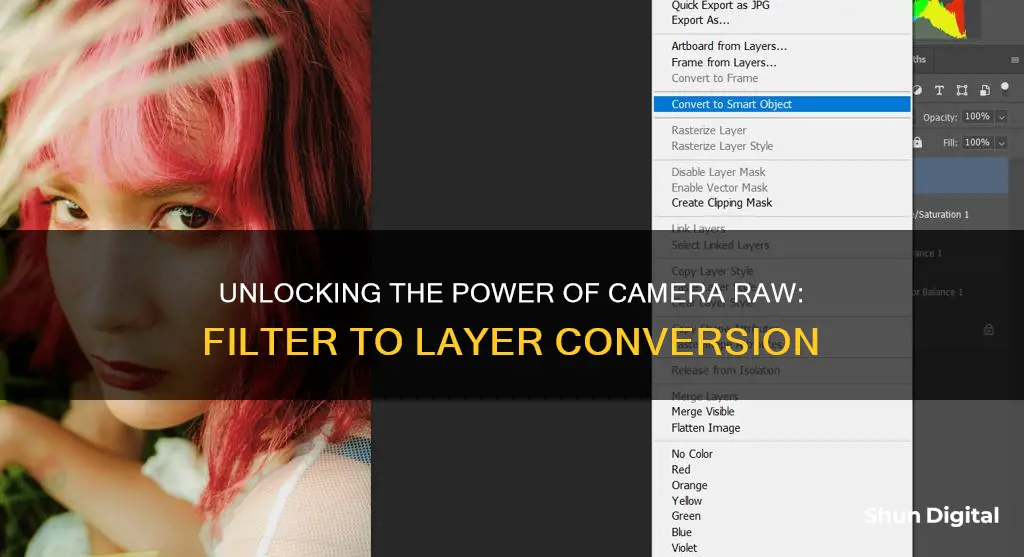 how to convert camera raw filter to layer