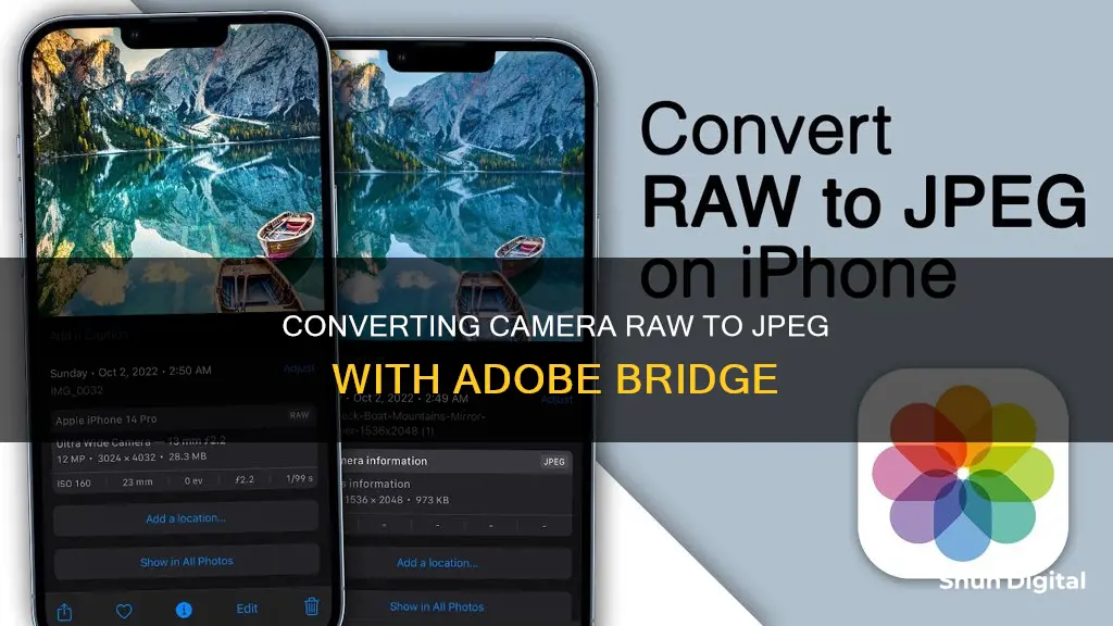 how to convert camera raw to jpeg in adobe bridge