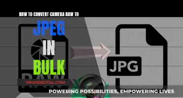 Converting Camera Raw Files: Bulk JPEG Conversion Tips