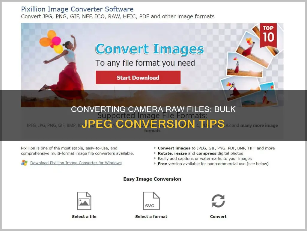 how to convert camera raw to jpeg in bulk