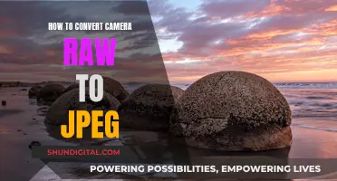 Converting Camera Raw Files to JPEGs: A Step-by-Step Guide