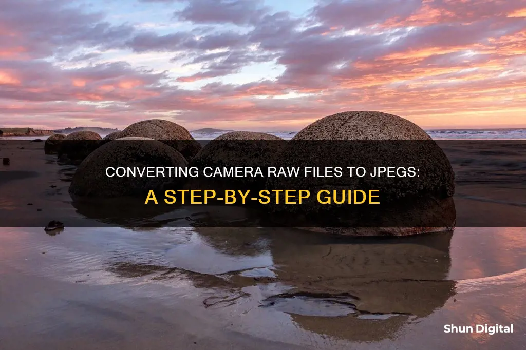 how to convert camera raw to jpeg