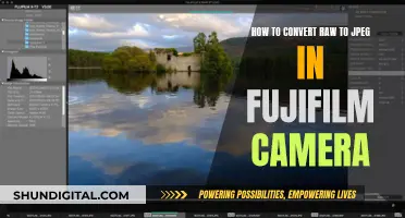 Fujifilm Camera: Converting RAW to JPEG Simplified