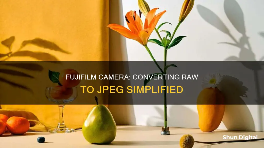 how to convert raw to jpeg in fujifilm camera