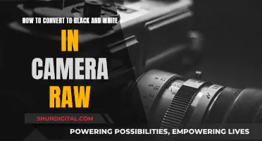 Converting to Black and White: Camera Raw Techniques