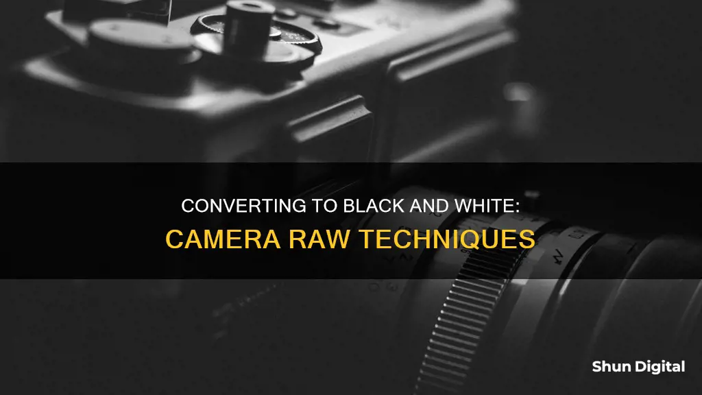 how to convert to black and white in camera raw