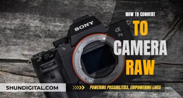 Unlocking Camera Raw: Converting for Better Image Editing