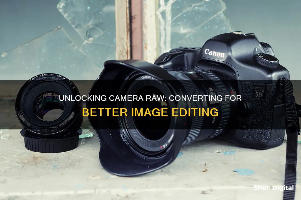 how to convert to camera raw