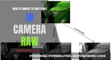 Mastering Grayscale Conversion in Camera Raw