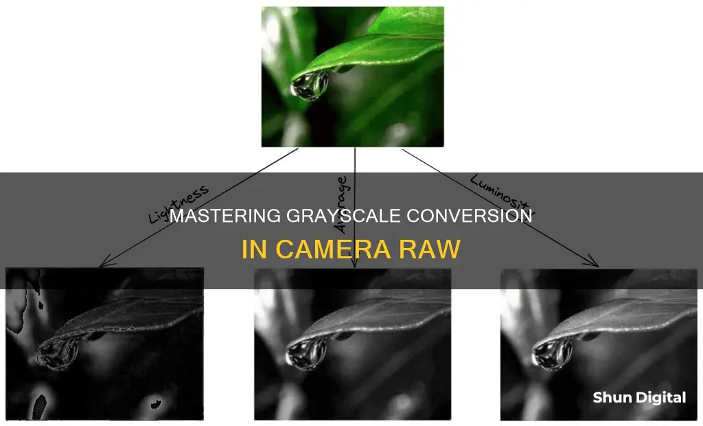 how to convert to gray scale in camera raw