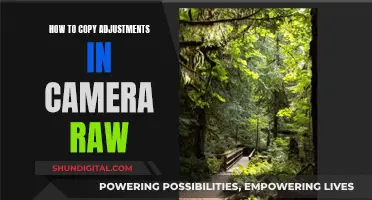 Quickly Copy Adjustments: Camera Raw Secrets