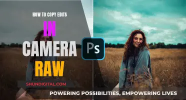 Quickly Copy Edits in Camera Raw Like a Pro