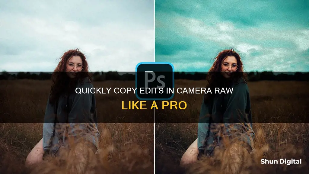 how to copy edits in camera raw