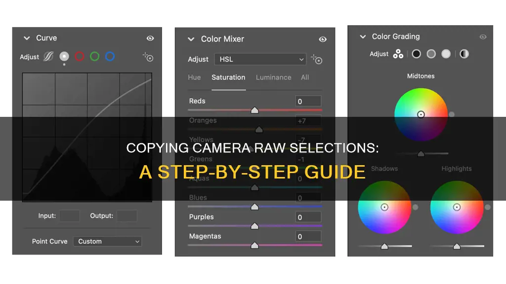 how to copy selection in camera raw