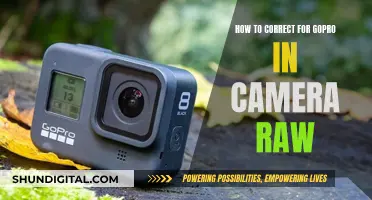 Correcting GoPro Photos: Camera Raw Techniques