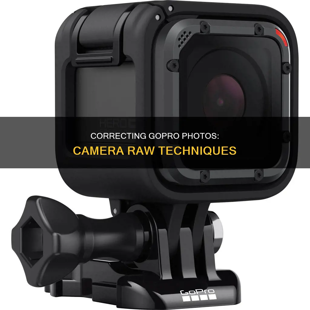 how to correct for gopro in camera raw