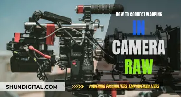 Correcting Warping: Camera Raw's Superpower