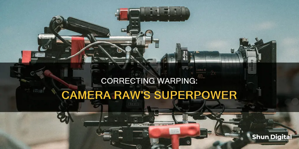 how to correct warping in camera raw