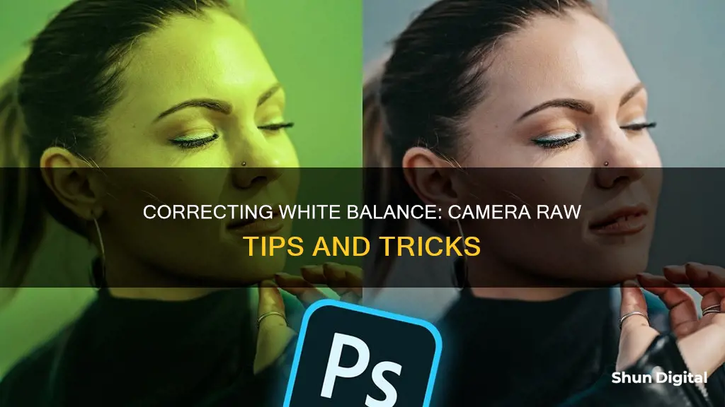 how to correct white balance in camera raw