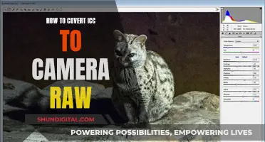 Converting ICC Profiles to Camera Raw: A Quick Guide