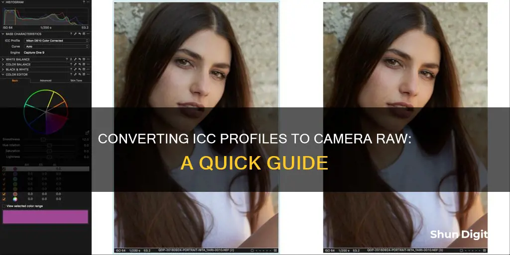 how to covert icc to camera raw