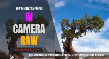 Creating Camera Raw Profiles: A Step-by-Step Guide