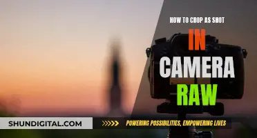 Cropping Like a Pro: Camera Raw Secrets