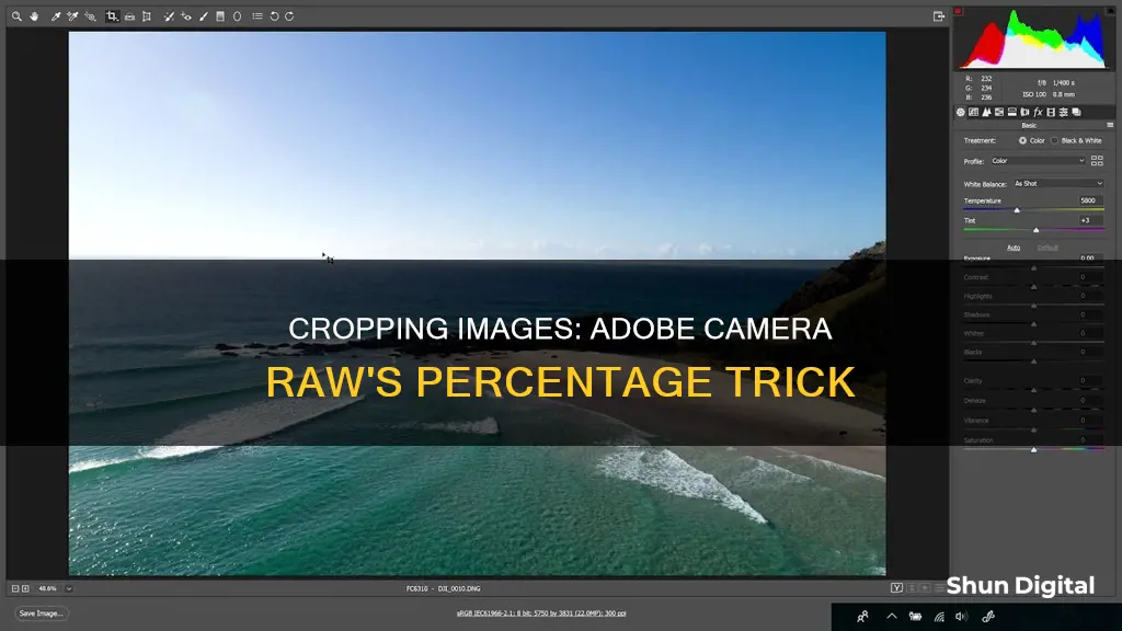 how to crop by percentage in adobe camera raw