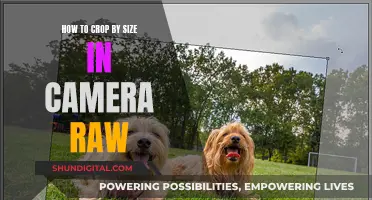 Cropping Images in Camera Raw: Sizing Mastery