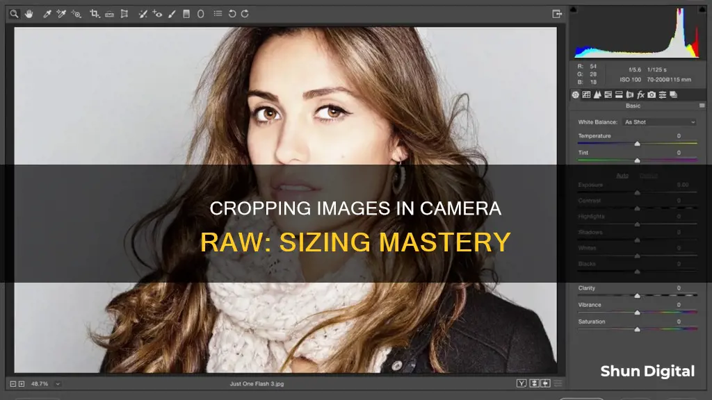 how to crop by size in camera raw