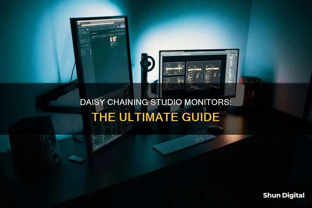 how to daisy chain studio monitors